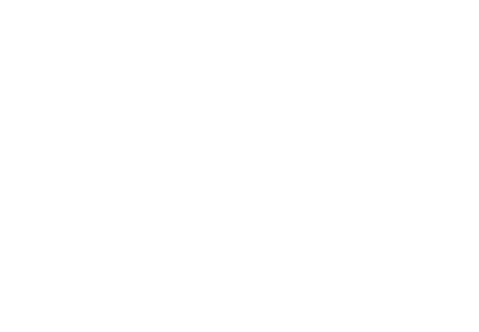 CPSIS Logo